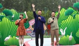 白鹭夺宝最新爆料视频在线观看,揭秘宝藏背后的神秘力量